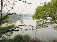 -长广溪湿地公园