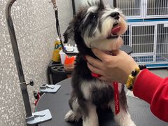 -宠物家(角门东店)