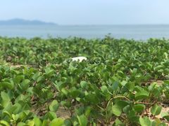 -浪琴湾度假村