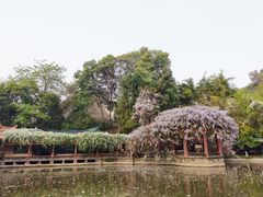 -富乐山
