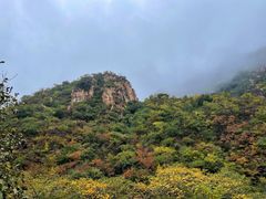 -大岭沟猕猴桃谷风景区