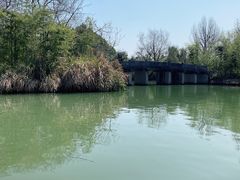 -西溪国家湿地公园