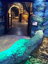 -酷嗒动物文化乐园(cutezoo西溪乐天城店)