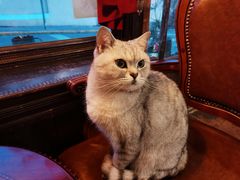 -不舍昼夜咖啡馆
