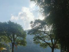 -广州市石门国家森林公园