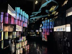 -同济大学四平路校区深海探索馆