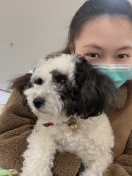 -Moni星球萌宠·小马宝莉·灵蛇·高端高阶全萌宠互动体验俱乐部(红豆国际广场店)