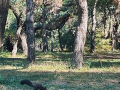 -北陵公园