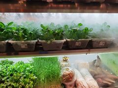 -鲜货俚鲜火锅(青果路店)