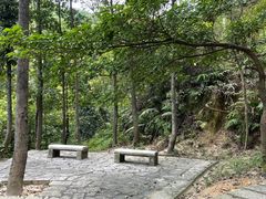 -火炉山森林公园