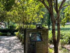 -野蔓果·山野菜(西湖景区·龙井茶田店)