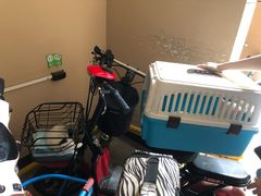 -伟伟宠物医院·CT影像中心·瑞派犬猫综合性门诊(汉口总院)
