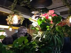 -舌尖上的食缘花园主题餐厅