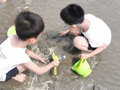 -奉贤海滩