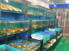 -老郑海鲜楼(天桥店)