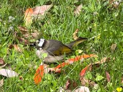 -成都市第一人民医院(南区)