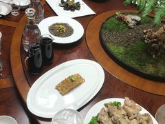 -丁老爷子苏香圆
