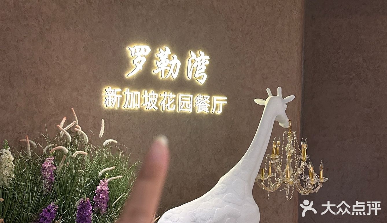 合肥）有被可爱到！椰子冻嘟嘟糕！！