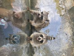 -杭州野生动物世界