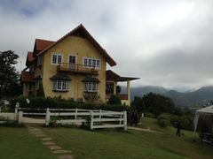 -黄色小屋
