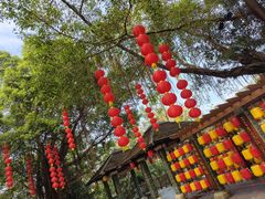 -广州市白云山风景名胜区