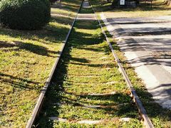 -永定河休闲森林公园