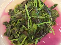 -楼外楼(西湖景区孤山路店)