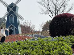 -铁山坪森林公园