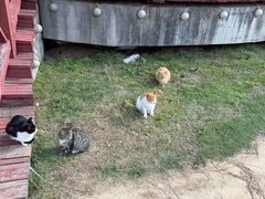 -养马岛旅游度假区