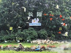 -广州长隆飞鸟乐园