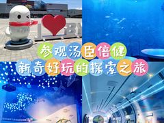 -汤臣倍健透明工厂景区