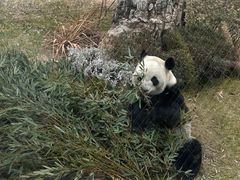 -无锡动物园·太湖欢乐园