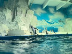 -泉城欧乐堡海洋极地世界