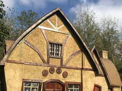 -合肥滨湖国家森林公园