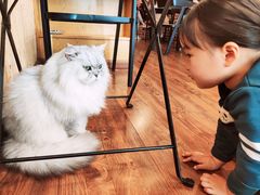 -猫友咖啡店(玉林西路店)