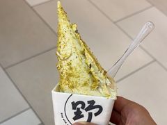 -野人先生现做冰淇淋(北京环宇荟店)