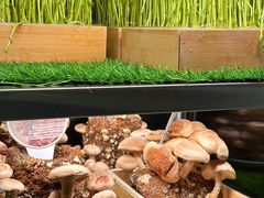 -捞王锅物料理(金华义乌之心店)