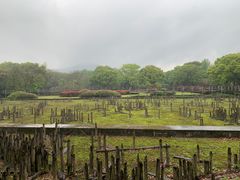 -河姆渡遗址博物馆