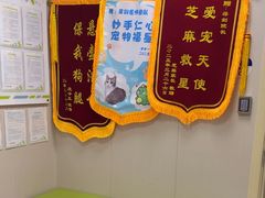 -瑞鹏宠物医院·骨外科·心肾科·肿瘤科(九亭店)