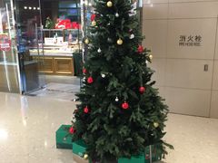 -多乐之日(和平伊势丹店)