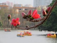 -东山湖公园