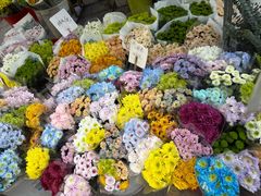 -循礼门鲜花花市(武汉循礼门店)