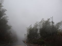 -江南天池