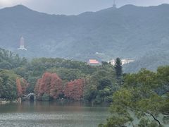 -深圳仙湖植物园
