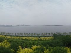 -天津东丽湖风景区