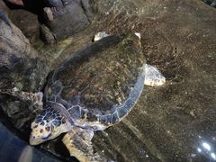 -青岛海底世界-水族馆