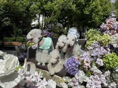 -J Create城市露营咖啡·简餐·宠物(上海动物园店)