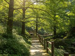 -黄陂区野村谷景区