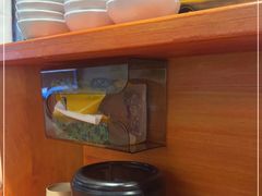 -天妇罗内顺田(罗湖店)