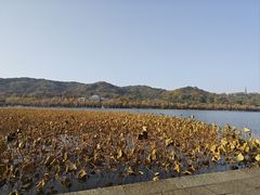 -玛尚诺意式餐厅(官舍店)